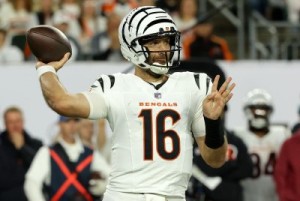 판타지 풋볼: Flacco, Demercado, Johnson, 11주차 추가/삭제