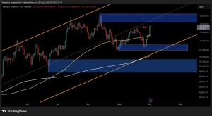 Bitcoin Price Analysis: One Last Hurdle Remains Before BTC Hits New ATH