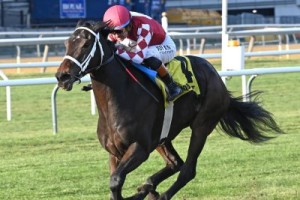 스타 3세 암말 사이에 경마 경쟁이 벌어진다