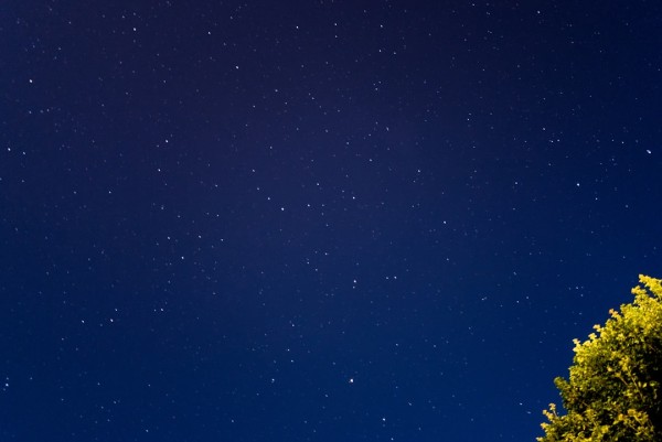 Weatherwatch: 성 마틴의 날 거위는 화이트 크리스마스를 예측할 것인가?